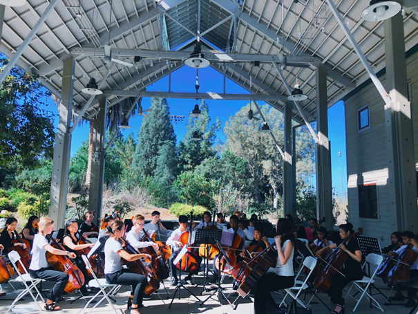 OC Cello Choir Live 2019