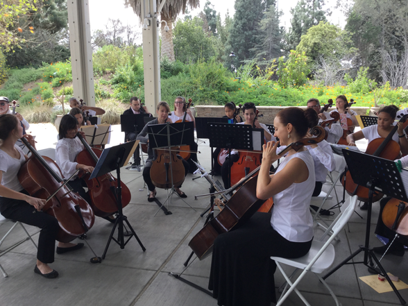 OCCelloChoir2017